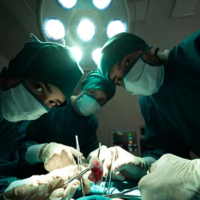 Transplant