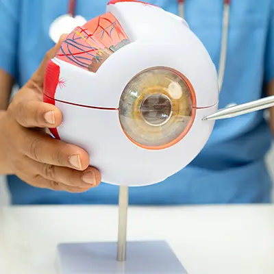 Ophthalmology